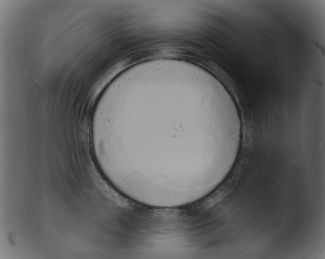 X0000103970859200810101306