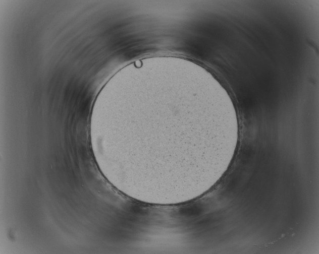 X0000103970860200810101306