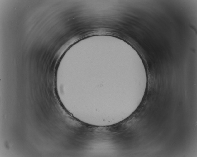 X0000103970861200810101306