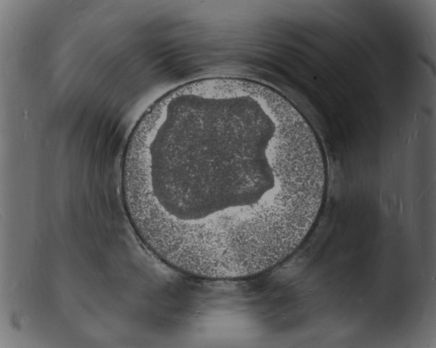 X0000103970862200810101306