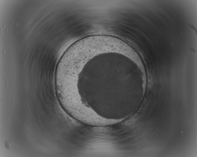 X0000103970863200810101306