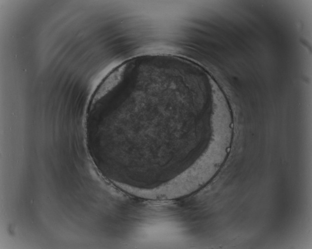 X0000103970864200810101306