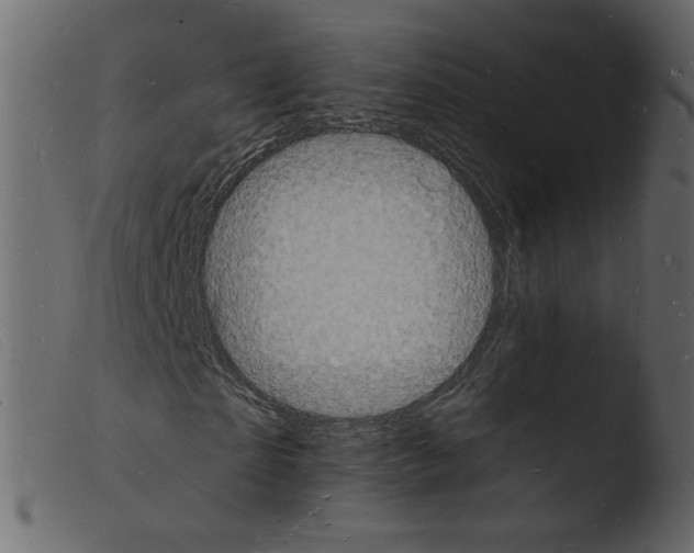 X0000103970865200810101306