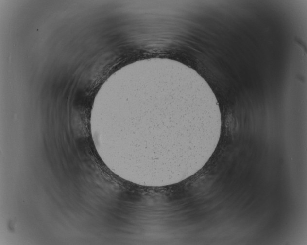 X0000103970868200810101306