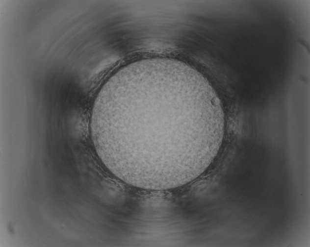 X0000103970869200810101306