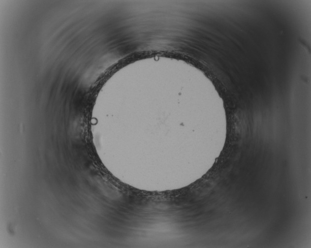 X0000103970872200810101305