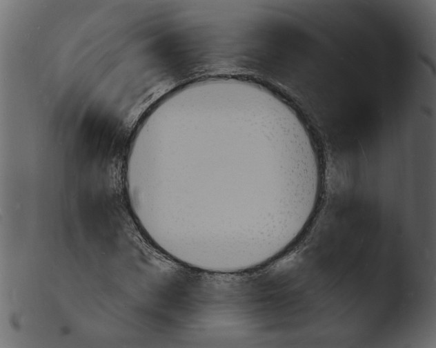 X0000103970873200810101305