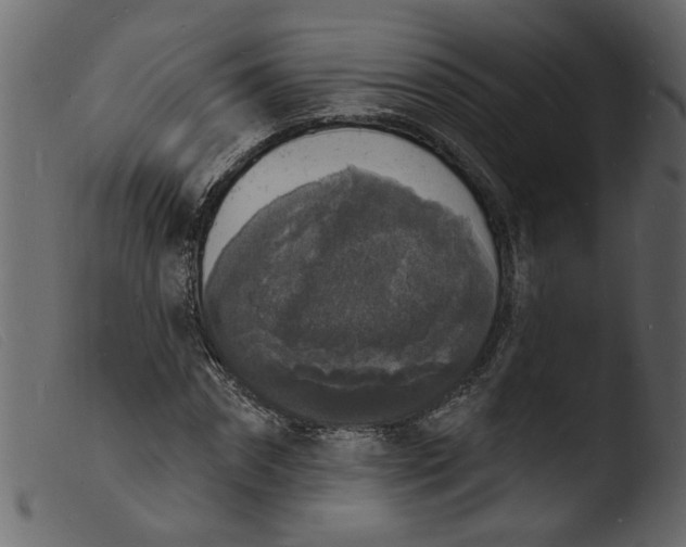 X0000103970874200810101305