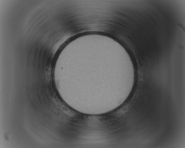 X0000103970875200810101305