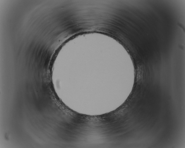 X0000103970876200810101305