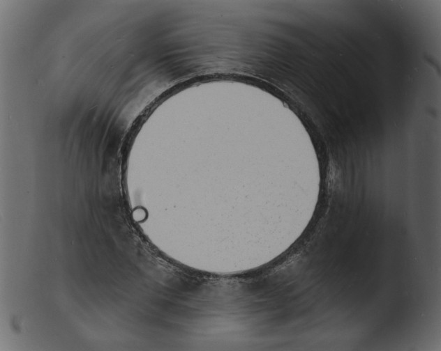 X0000103970877200810101305