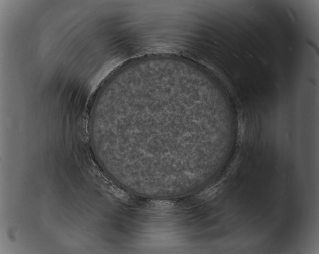 X0000103970878200810101305