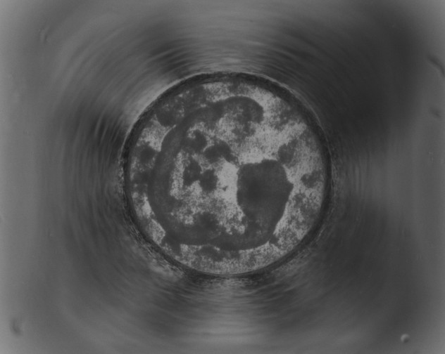 X0000103970879200810101305