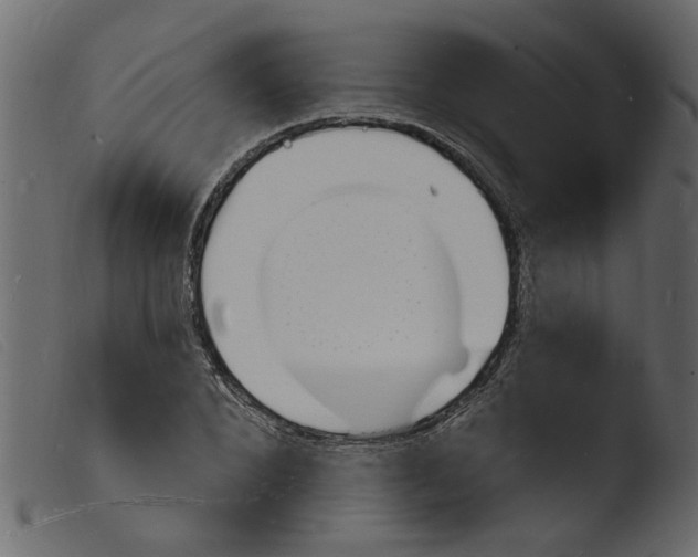 X0000103970880200810101305