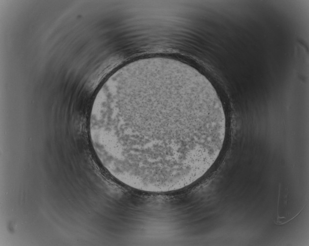 X0000103970881200810101305