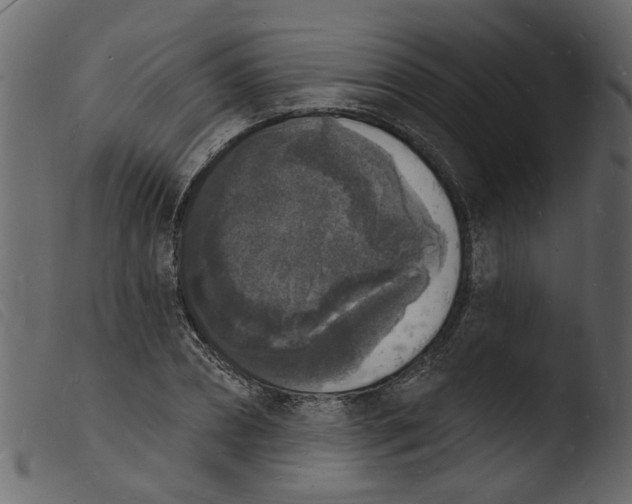 X0000103970882200810101305