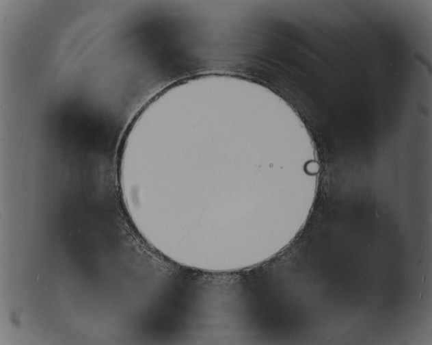 X0000103970884200810101305