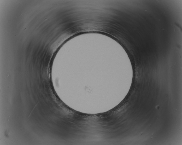 X0000103970885200810101305