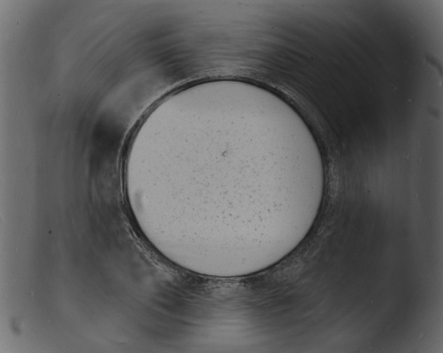 X0000103970886200810101305