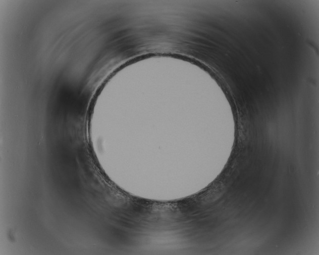 X0000103970887200810101305