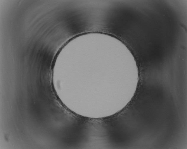 X0000103970888200810101305