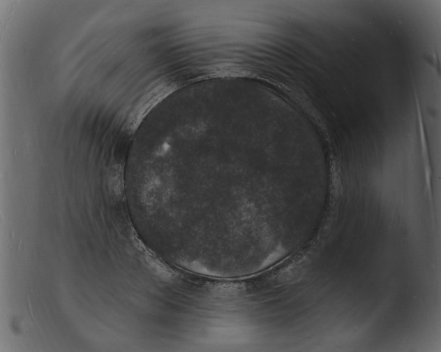 X0000103970889200810101305