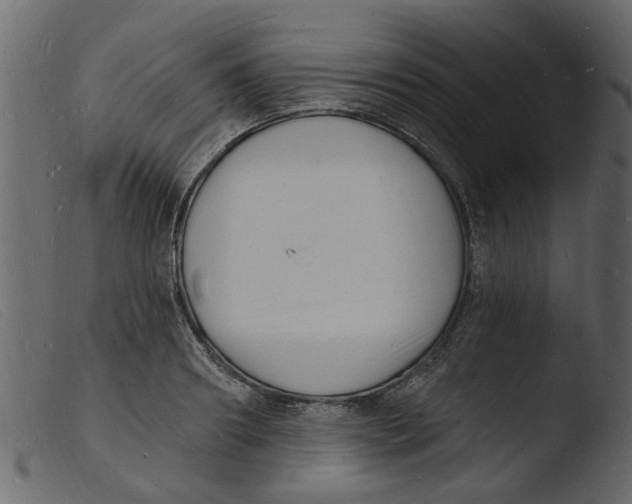 X0000103970890200810101305