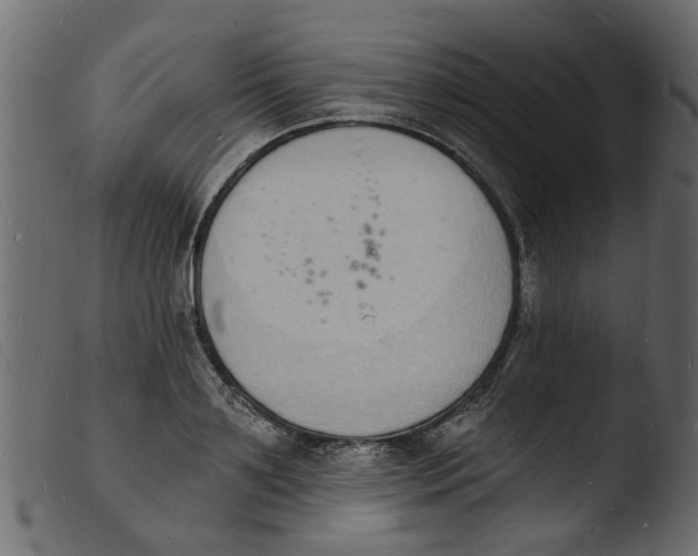 X0000103970891200810101305