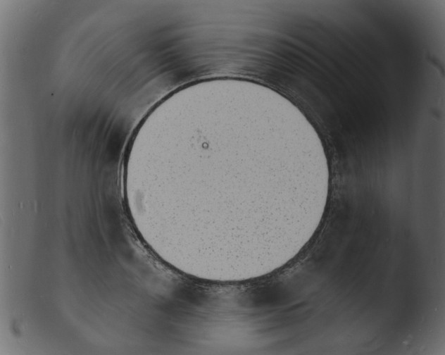 X0000103970892200810101305