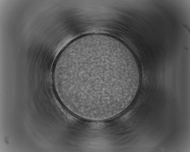 X0000103970893200810101305