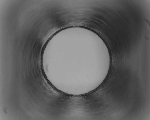 X0000103970894200810101305