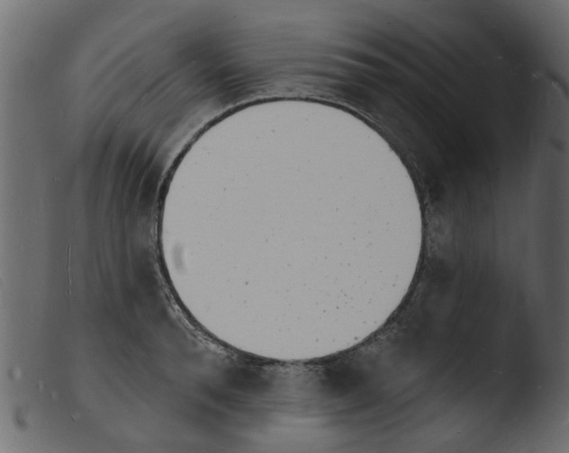 X0000103970896200810101305