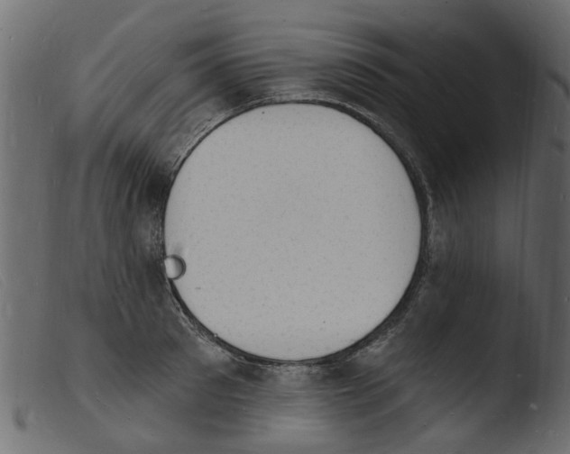 X0000103970897200810101305