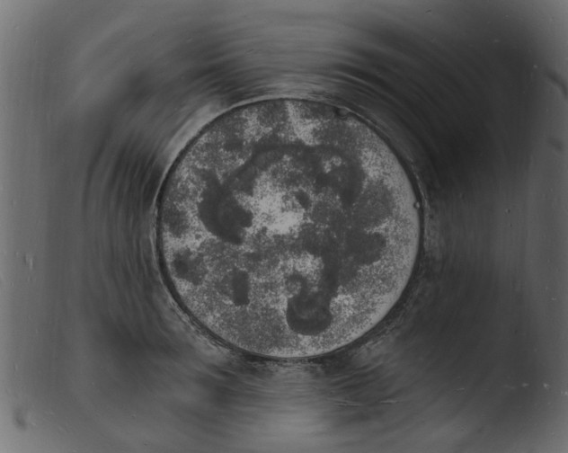 X0000103970899200810101305