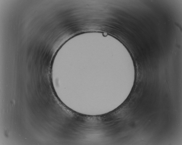 X0000103970901200810101305