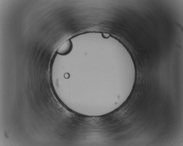 X0000103970902200810101305