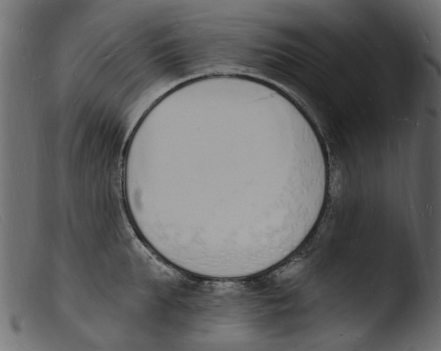 X0000103970903200810101305