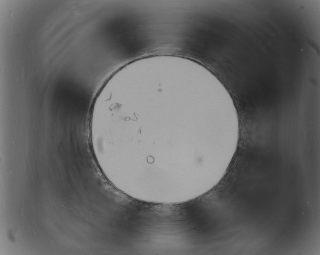 X0000103970904200810101305