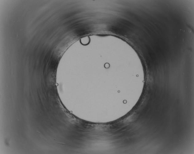 X0000103970905200810101305