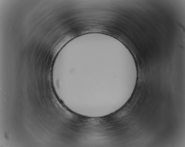 X0000103970906200810101305