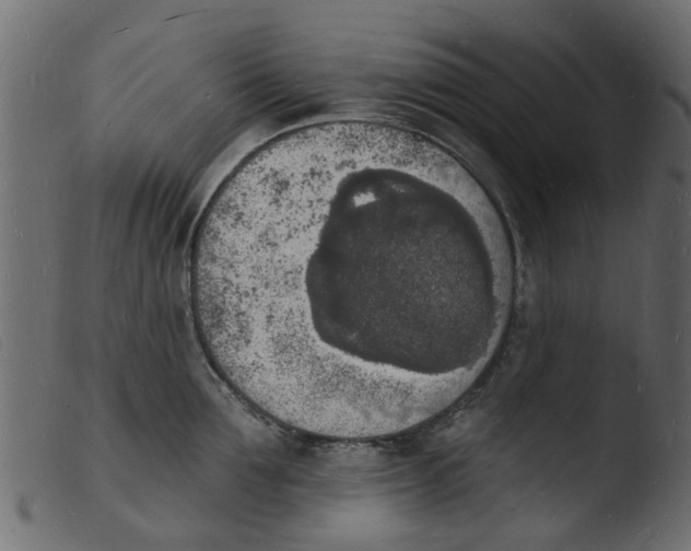 X0000103970907200810101305