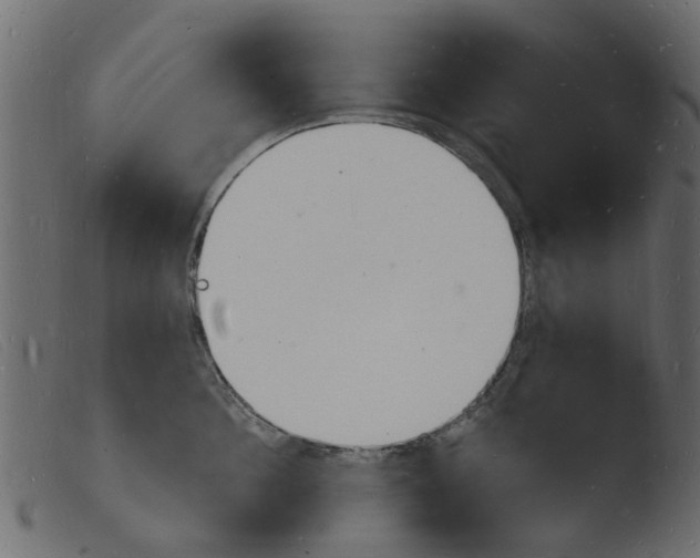 X0000103970908200810101305