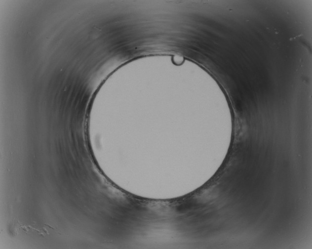 X0000103970909200810101305