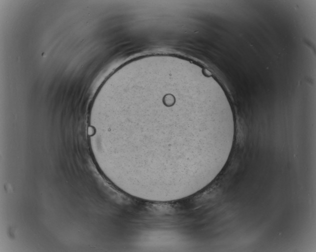 X0000103970911200810101305