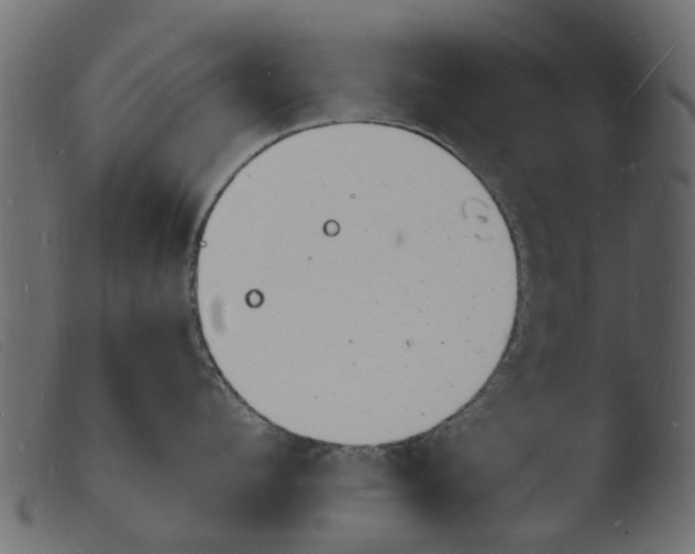 X0000103970912200810101305