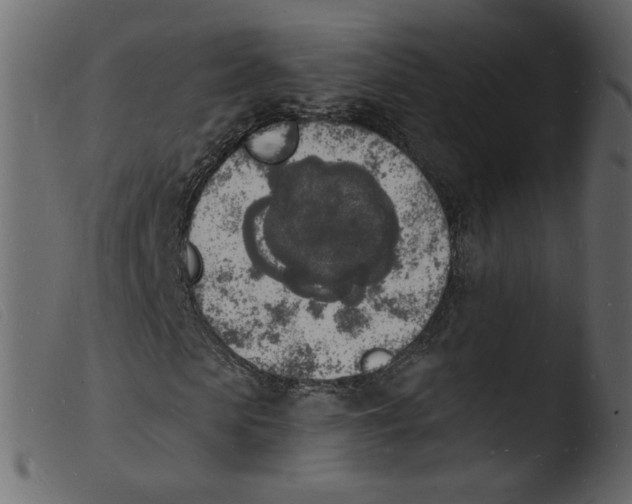 X0000103970913200810101304