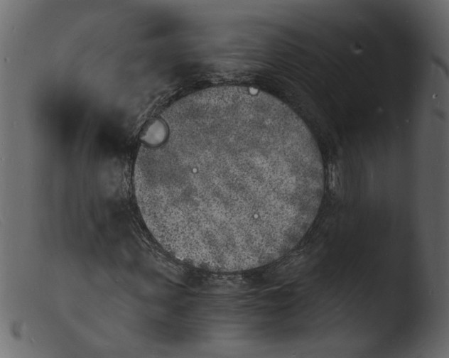 X0000103970915200810101304