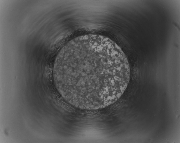 X0000103970917200810101304