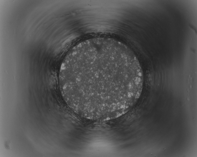 X0000103970918200810101304