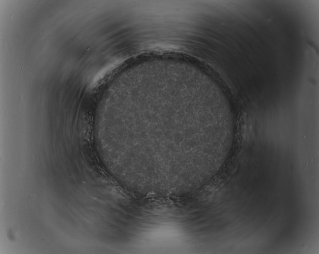 X0000103970919200810101304